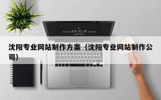安阳沈阳专业网站制作方案（沈阳专业网站制作公司）